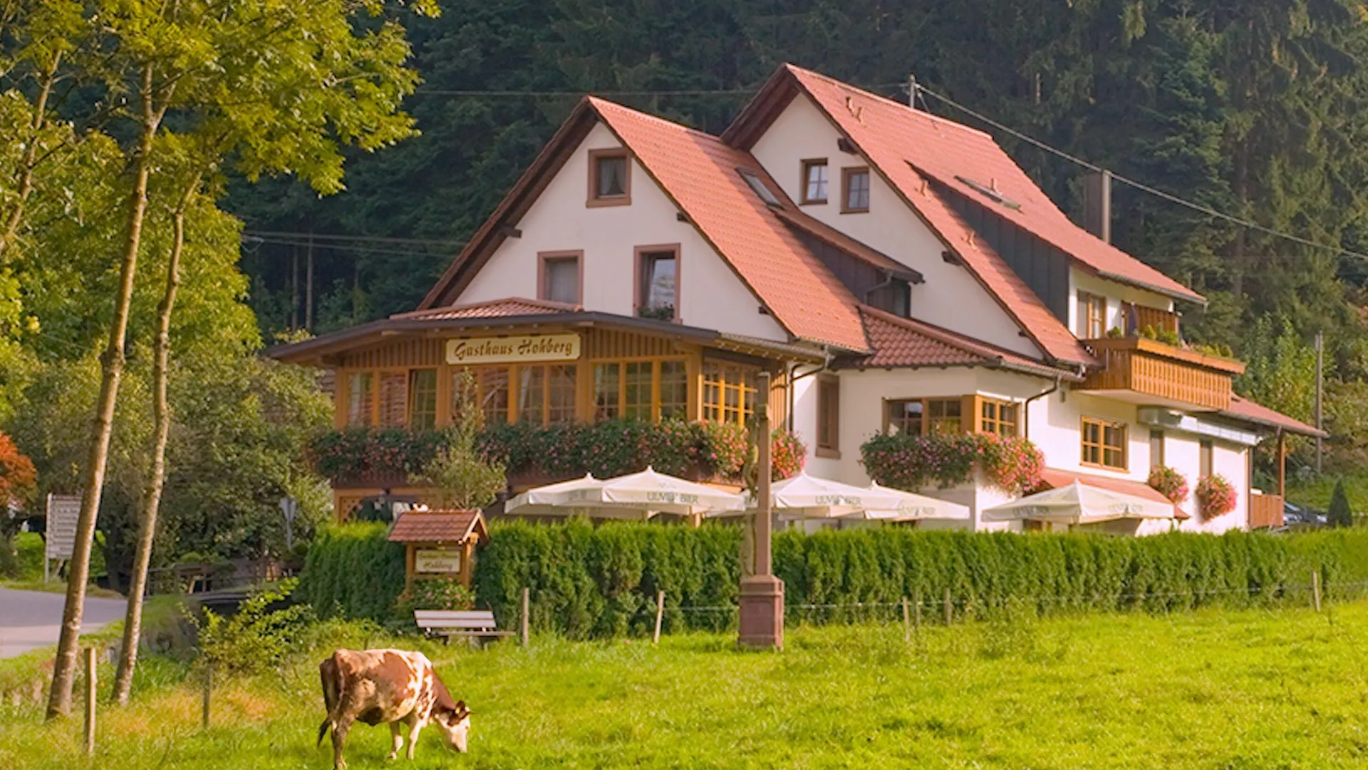 In Baden-Württemberg übernachten: 10 Gasthäuser im Vergleich